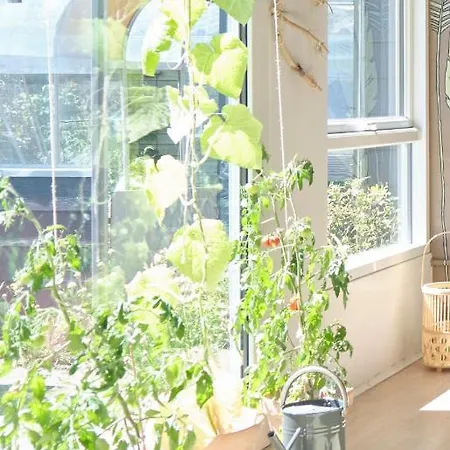 منزل للإقامة Noah's Ark Klitmøller