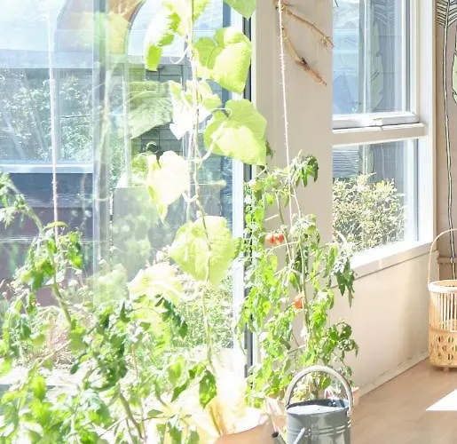 Homestay Noah's Ark Klitmoller